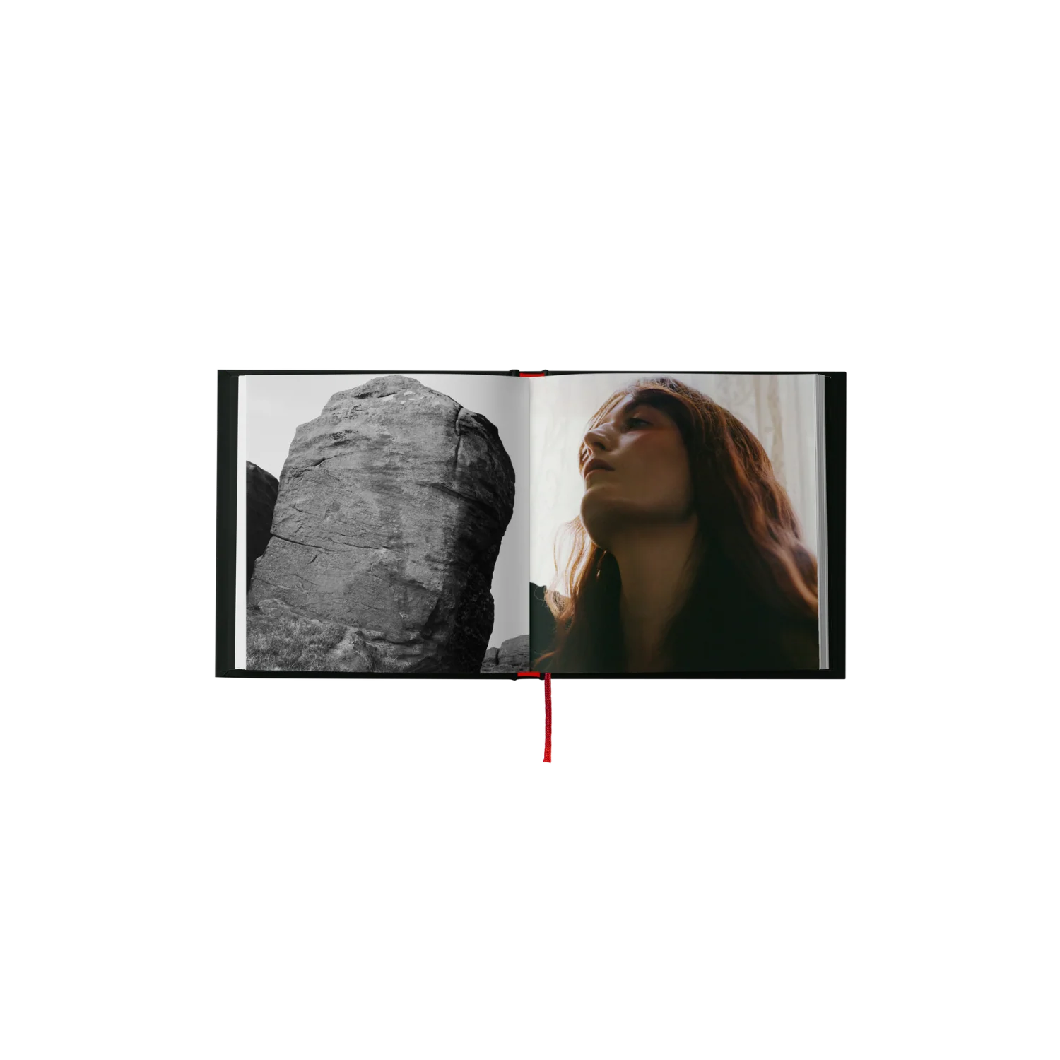 Everybody Scream CD: Chamber Edition - Image 3